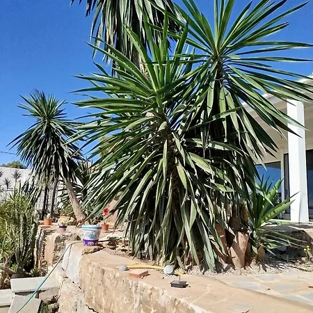 Homestay szállás San Roque Countryside Annex San Roque